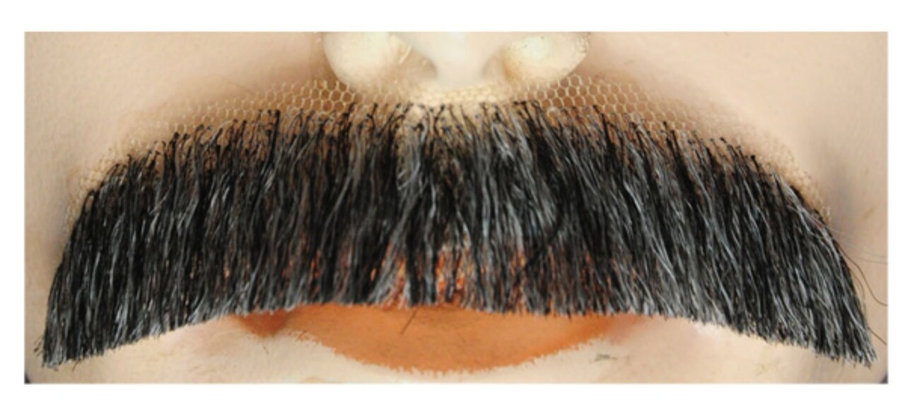 The Costume Center Dark Brown And Gray Downturn M2 Men Adult Halloween Mustache Costume Accessory - One Size